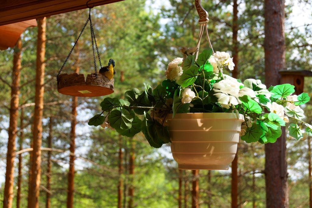 Kettu Holl Cottage Taipalsaari Екстериор снимка