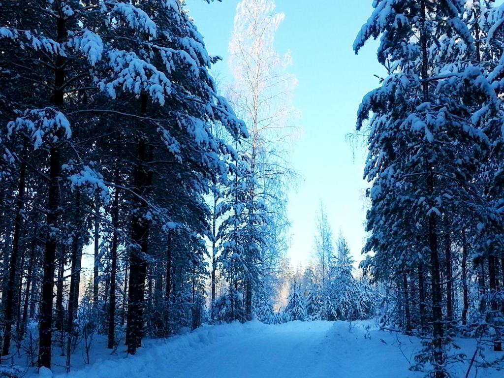 Kettu Holl Cottage Taipalsaari Екстериор снимка