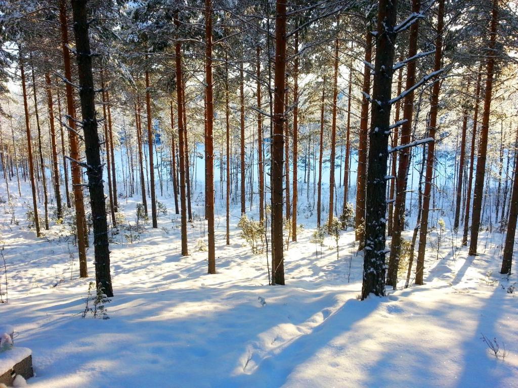 Kettu Holl Cottage Taipalsaari Екстериор снимка