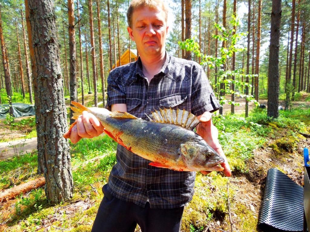Kettu Holl Cottage Taipalsaari Екстериор снимка