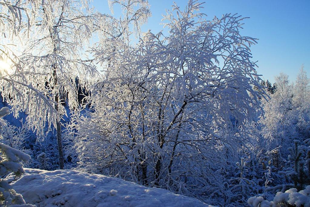 Kettu Holl Cottage Taipalsaari Екстериор снимка