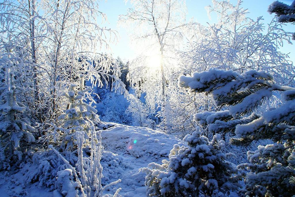 Kettu Holl Cottage Taipalsaari Екстериор снимка