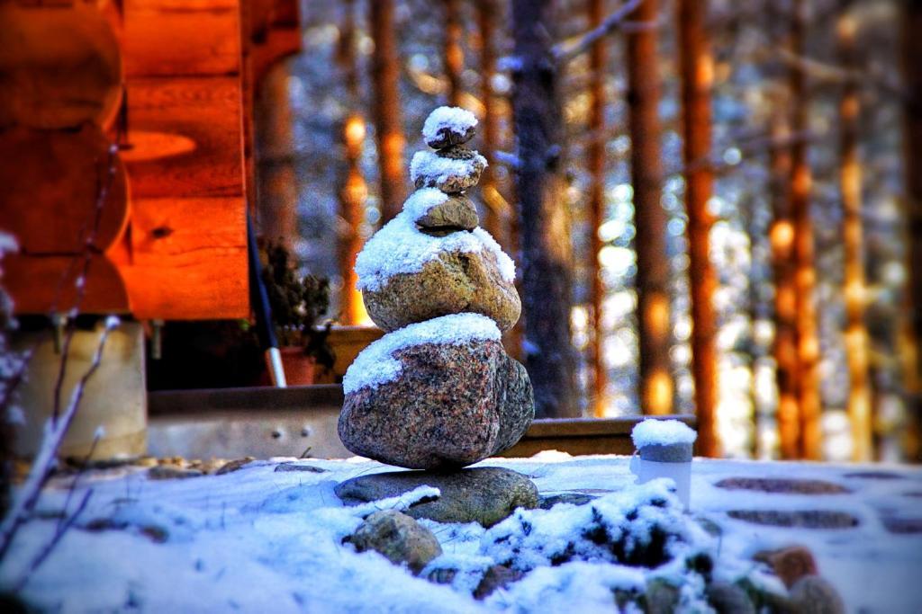 Kettu Holl Cottage Taipalsaari Екстериор снимка